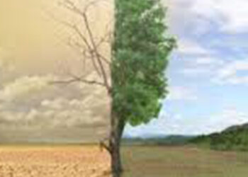 تأثير التغيرات المناخية على الزراعة والغذاء فى أفريقيا.. دراسة تكشف التفاصيل