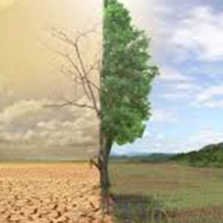 تأثير التغيرات المناخية على الزراعة والغذاء فى أفريقيا.. دراسة تكشف التفاصيل