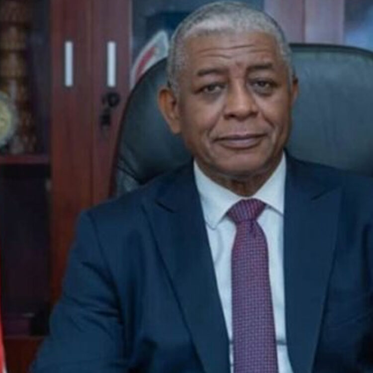 القائم بأعمال سفارة السودان ورئيس الاتحاد العربي للعمل التطوعي يبحثان نشر الثقافة بين الشباب