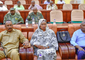 الرعاية والتنمية بالنيل الازرق تنظيم ورش متخصصة للعاملين