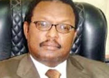 خالد التجاني يكتب: الموازنة البكماء