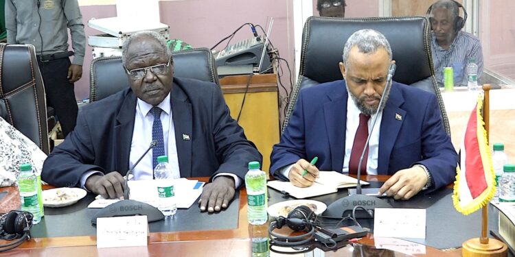 الحكومة السودانية تؤكد حرصها على إيصال المساعدات .. الحكومة تؤكد حرصها على إيصال المساعدات