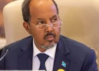 مصر تساند “القرن الأفريقى”.. الزيارات المتلاحقة لزعماء القارة دليل على الثقة فى دور مصر المحورى لتهدئة النزاعات.. زيارة رئيسى إريتريا والصومال تأتى تنسيقا للمواقف ودعم القاهرة أمام انتهاكات إثيوبيا